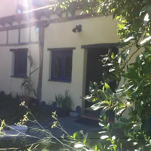 Apikale Ea